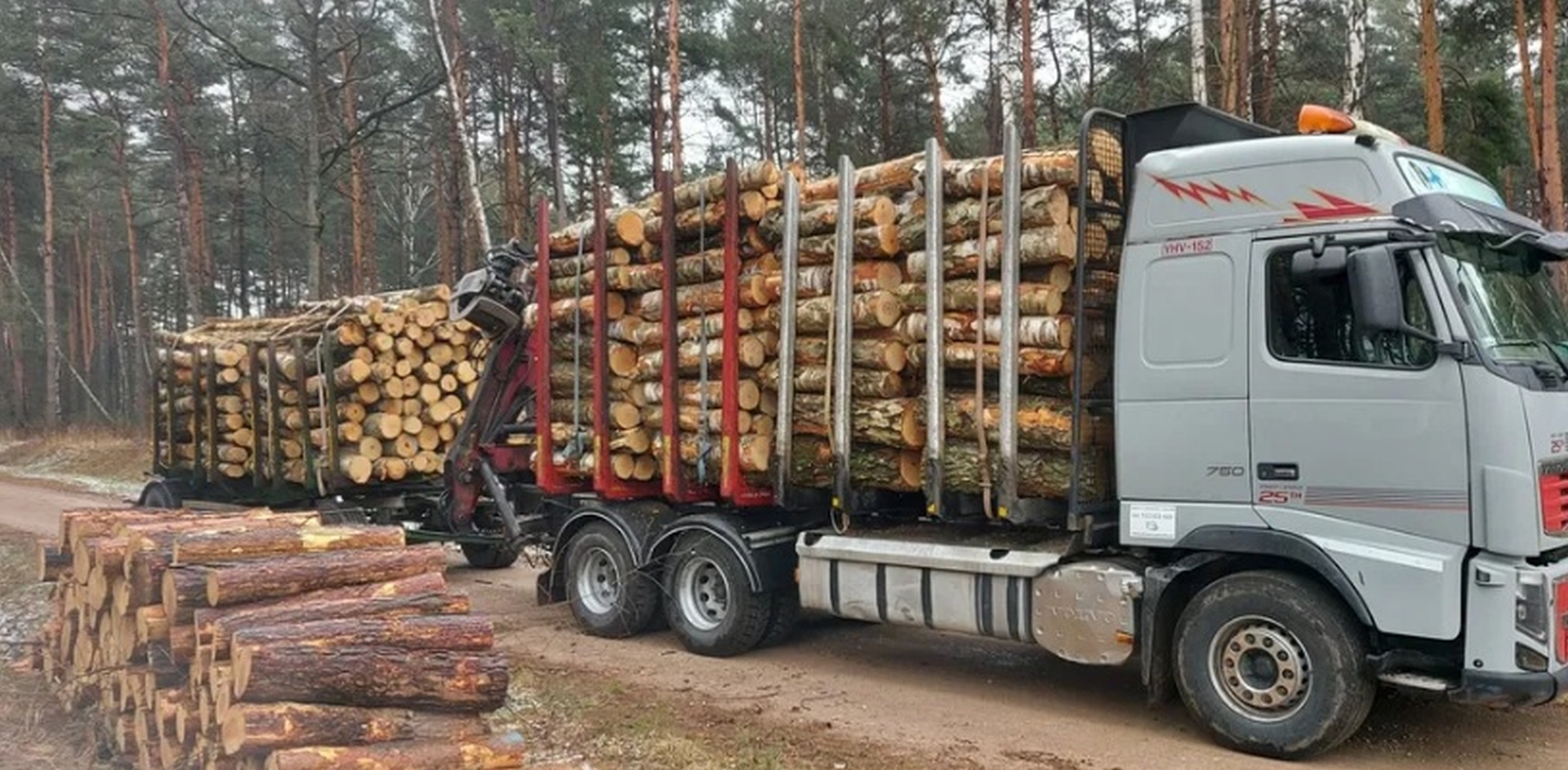 Usługi transportowe