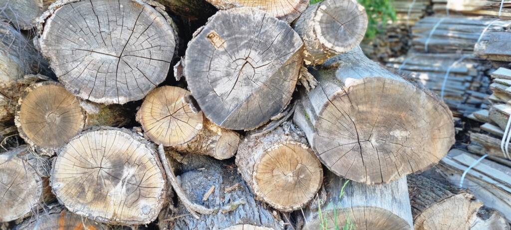 drewno piotrkow, drewno kominkowe lodz, drewno opalowe, pellet, plastry drewna, drewno konstrukcyjne